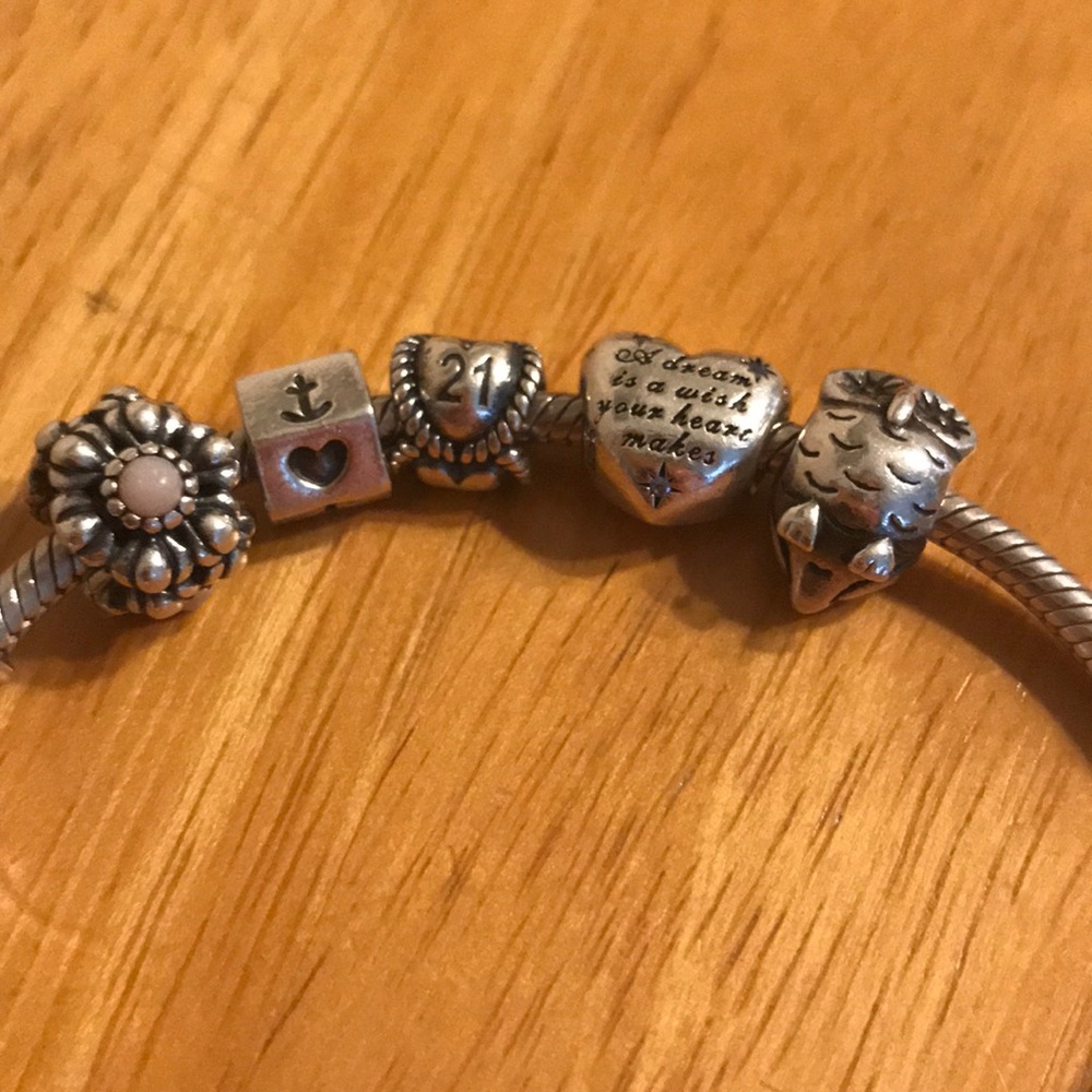Pandora Charm Bracelet